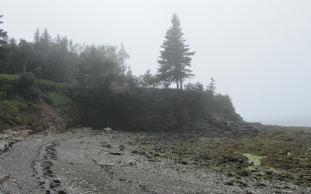 Ross Creek